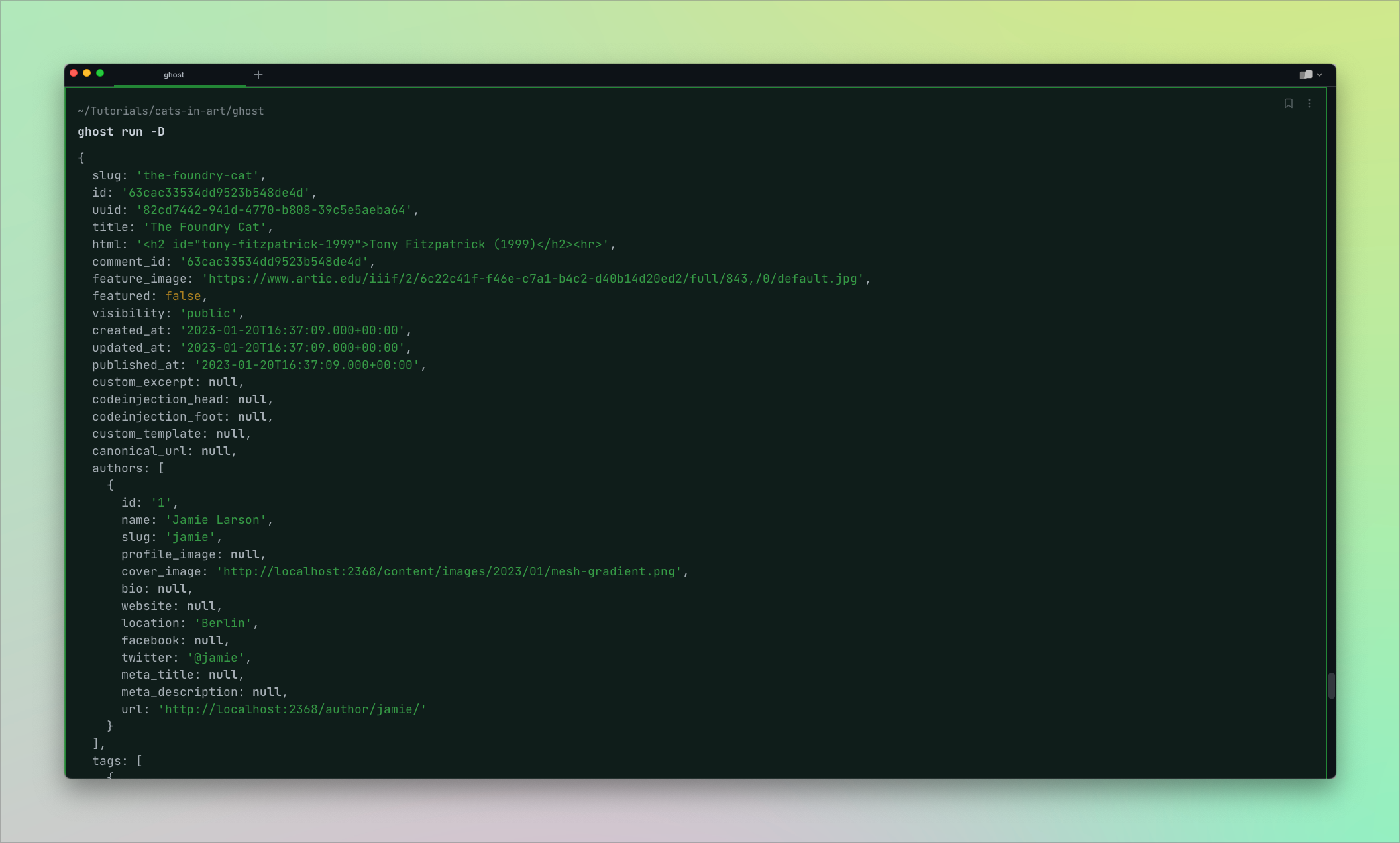 Logging post data to the terminal