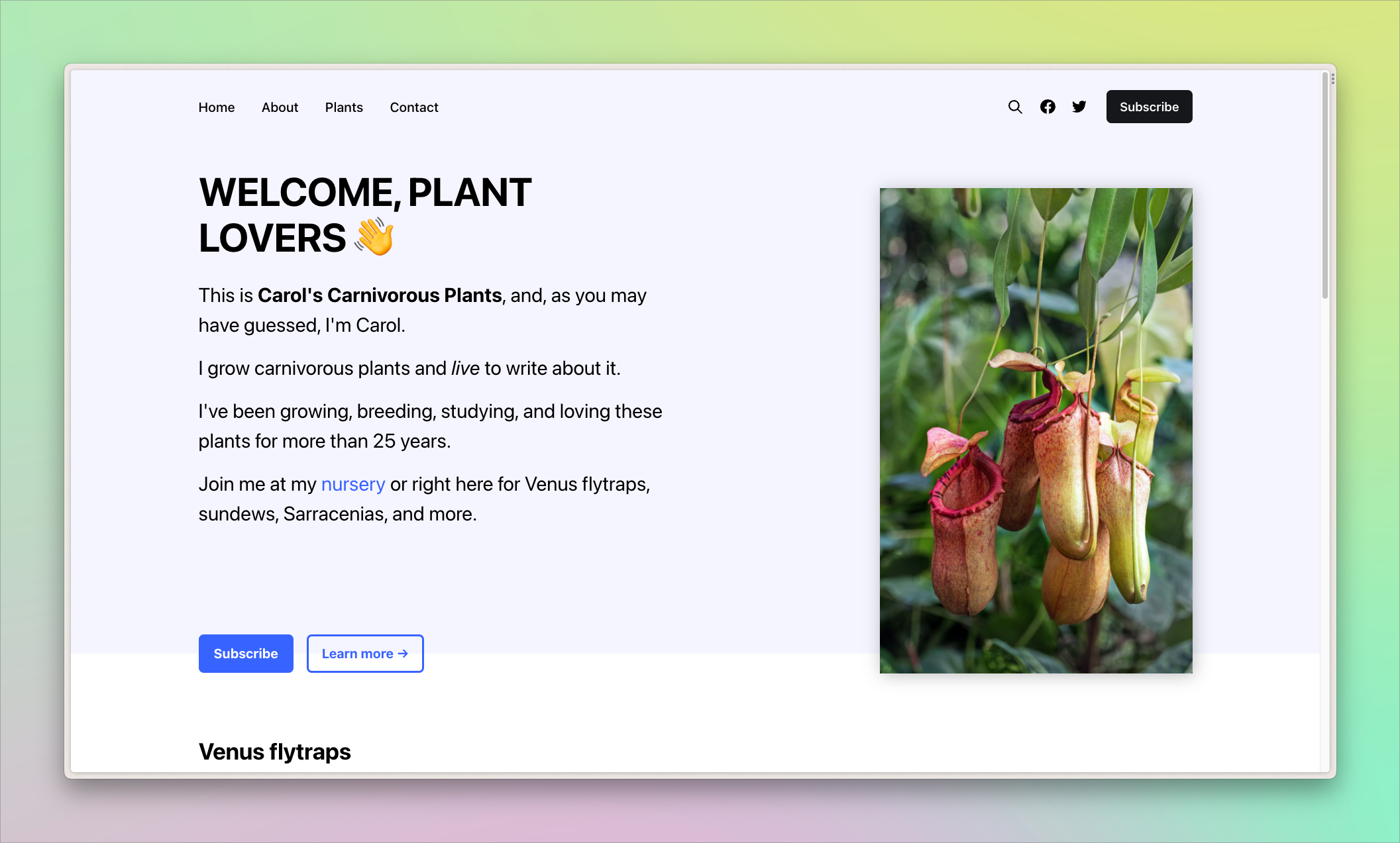 Website for Carol's Carnivorous Plants featuring images of carnivorous and copy about Carol